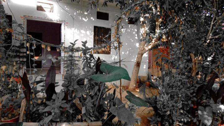 Hotel The Pushkar Flower Екстериор снимка