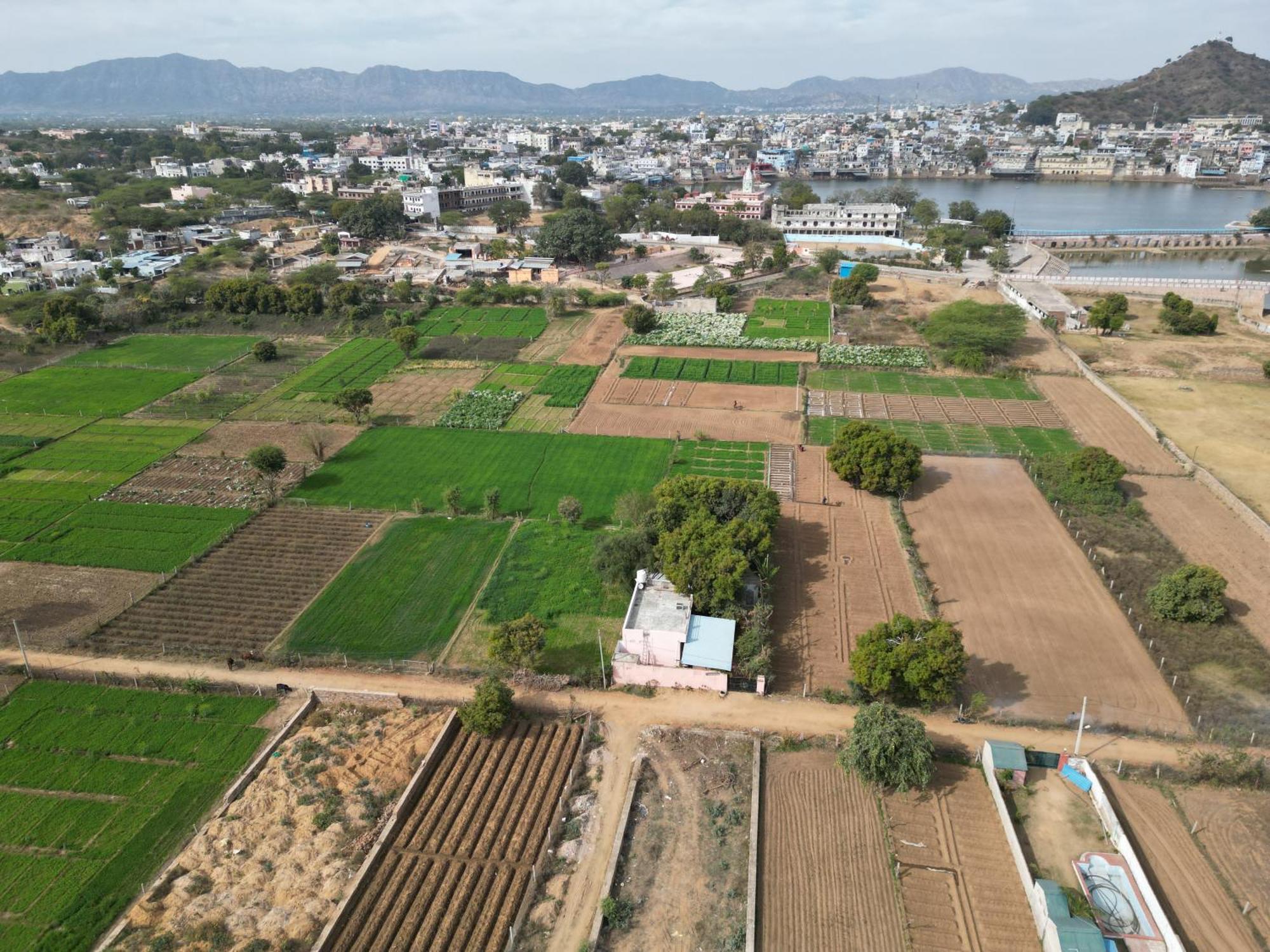 Hotel The Pushkar Flower Екстериор снимка